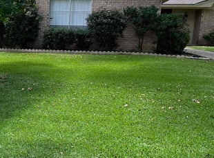 Tom H.'s Lawn Service service result