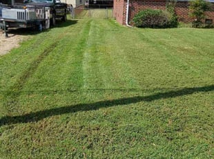 Jason P.'s Lawn Mowing service result