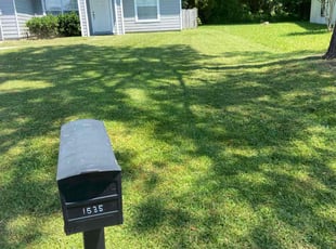 Diamond W.'s Lawn Service service result