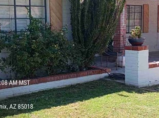 Bush Trimming by Carl Smith for David W. in Phoenix, AZ