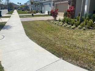 Claudine R.'s Lawn Mowing service result