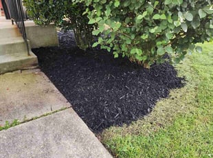 Mulching by Derrick Graves for Ralph T. in Upper Marlboro, MD