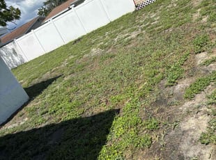 Landscaping by Zacary Hexter for Nelly C. in Port Richey, FL
