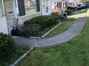Bush Trimming by Caleb Patton for Demond G. in Cincinnati, OH