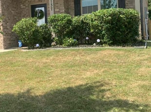 Bush Trimming by Brandon Cummings for D S. in Ellenwood, GA