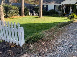 Ramell L.'s Lawn Mowing service result