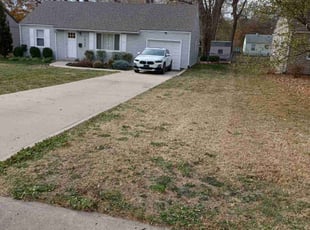 Leaf Removal by Charles Ridge for William A. in Overland Park, KS