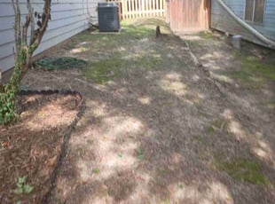 Bush Trimming by Tracy Delrow for Josh F. in Mobile, AL