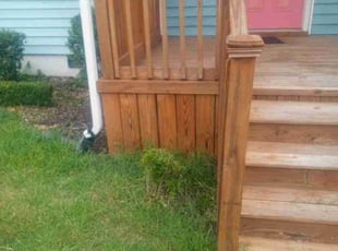 Bush Trimming by Sean Saulsby for Elvin C. in Hampton, VA