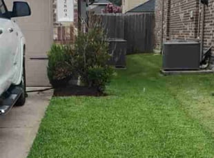 Mulching by Yanet Maciel for Xavier J. in Fresno, TX