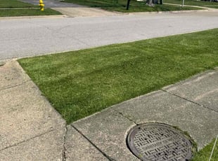 Aaron C.'s Yard Cutting service result