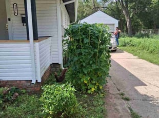 Bush Trimming by Henry Steinke for Deanna R. in Rockford, IL
