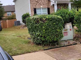 Bush Trimming by Willie P for Alfye G. in LITHONIA, GA
