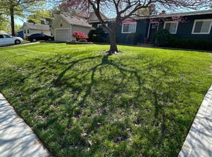 Gerry M.'s Lawn Mowing Service service result