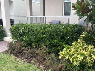 Bush Trimming by Christopher Oropeza for Marti G. in Winter Garden, FL