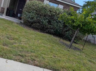 Bush Trimming by Marc Davis for Taylor S. in San Antonio, TX