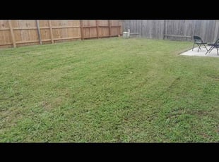 Carolyn C.'s Lawn Care service result