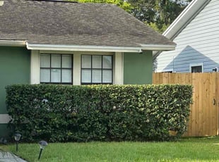 Bush Trimming by Hector Mieles for Hattie H. in Orlando, FL