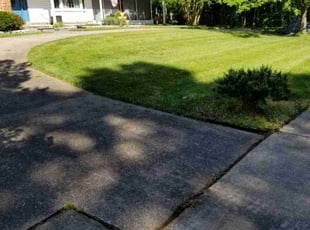 Shawn C.'s Lawn Care service result