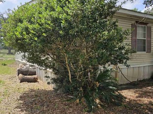 Bush Trimming by MMS Lawncare and Landscaping for Southwell M. in Adkins, TX