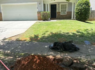 Bush Trimming by George Ballard for Miriam b. in Holly Springs, NC