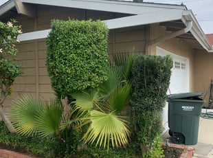 Bush Trimming by Antonio Simoes for Andy C. in Buena Park, CA
