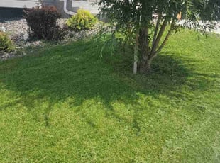 Fabienne L.'s Lawn Maintenance service result