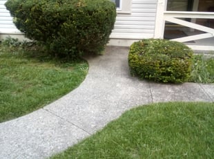 Bush Trimming by Ras Tosh Tafari for Lakeeshia H. in Cincinnati, OH