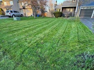 Nikki E.'s Yard Cutting service result