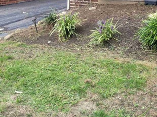 Weeding by Gregory Traylor for James K. in Cleveland Heights, OH