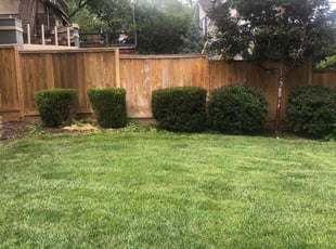 Bush Trimming by Aj Clark for Trent T. in Kansas City, MO
