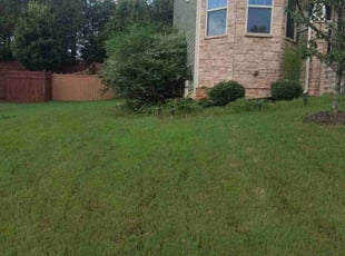 Bush Trimming by Khalid Muhammad for Vipul U. in Holly Springs, NC