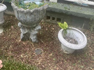 Weeding by Michael Martin for Angelle R. in Mandeville, LA