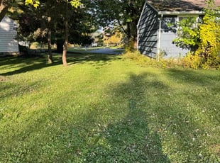 Svetlana A.'s Grass Cutting service result