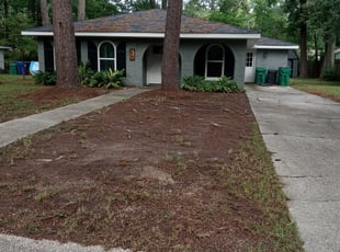 Cleanups by Gerald Helmke for Tyler M. in Mandeville, LA