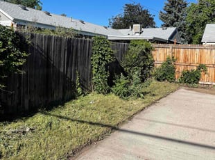 Landscaping by Felipe Soria for Alison G. in Wheat Ridge, CO