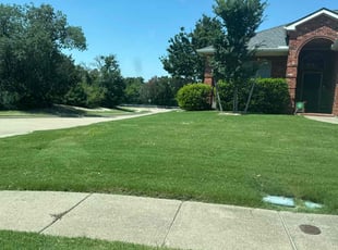 Dallas TX Lawn Care Service - Image $2y$10$qNIDlTHIBkYseR3p2IGxekNHy7zPiuW8j3ct1cfPrsAsgiotbb6