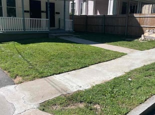 Michael B.'s Lawn Care service result