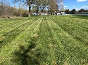 Rene H.'s Yard Cutting service result