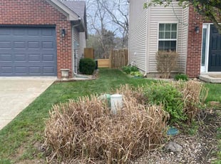 Bush Trimming by Aaron Kapfhammer for Lora P. in Louisville, KY