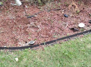 Weeding by Willie Cade for Muriel O. in Lawrenceville, GA