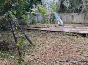 Leaf Removal by Dwaylon Peterson for Hubert G. in Tampa, FL