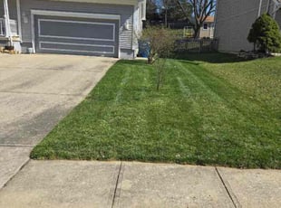 Jodie B.'s Lawn Care service result