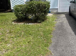 Hope S.'s Bush Trimming service result