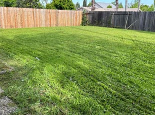 Cleanups by Gabriel Aldrete for Daniel J. in Sacramento, CA
