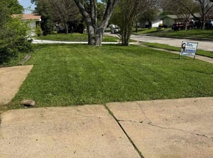 Christopher C.'s Lawn Mowing service result