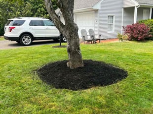 Mulching by Iran Santiago for Mark M. in West Hartford, CT