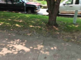 Cleanups by Steven Maciel-Inde for Aaonjamallyndamekhaiael C. in Ramsey, MN