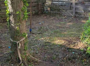 Leaf Removal by Kevin Lewis for Jeanette B. in Portsmouth, VA