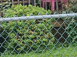 Bush Trimming by Branden Eakle for Donald M. in Scranton, PA